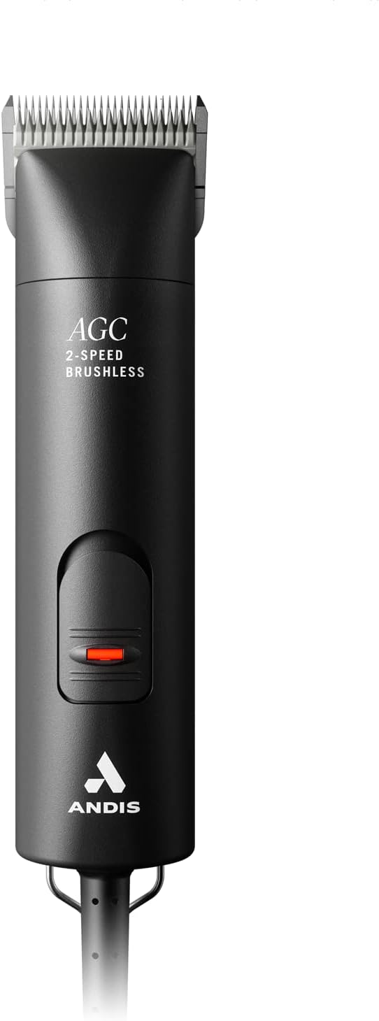 51Oy4Zb6oXL._AC_SL1500_
